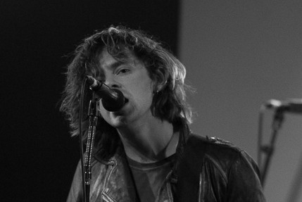 the wombats